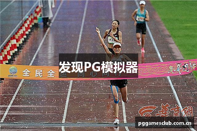 发现PG模拟器